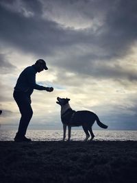 Dog standing on beach against sky