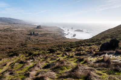 Sweeping view of headlands and ocean from top of hill