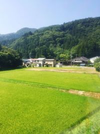Houses on field