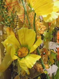 Close-up of yellow flower