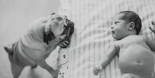 Close-up of baby and dog