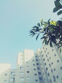 Low angle view of building against clear sky