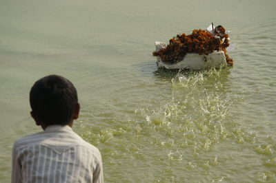 Rear view of man in water