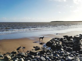 Scenic view of beach against sky