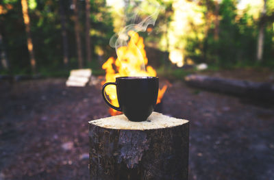 Close-up of burning candle on wooden log