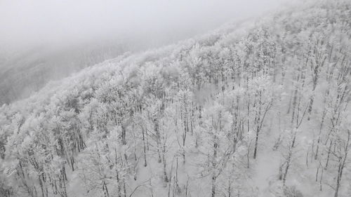 Scenic view of snow covered land