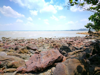 Scenic view of beach against sky