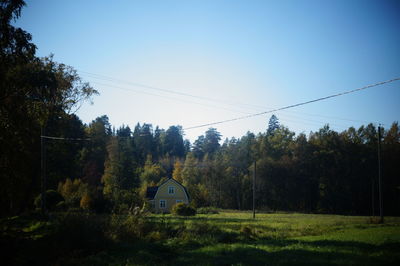 Trees and plants on field against sky