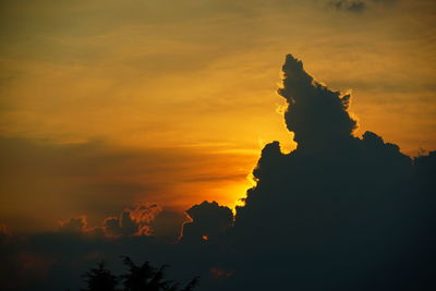 Low angle view of silhouette plants against sky during sunset