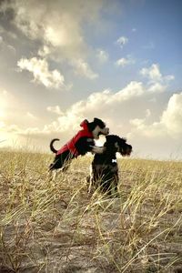 Portrait of black dog on field against sky