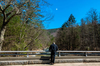 Man standing on a tree