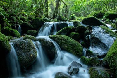 View of waterfall in forest