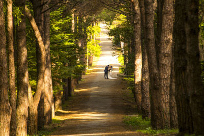 Bridal couple romancing amidst trees