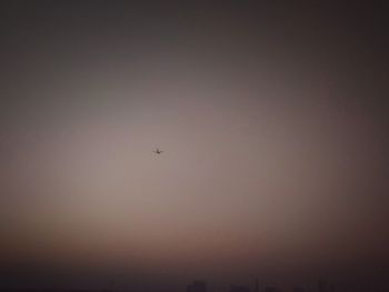 Low angle view of airplane flying in sky