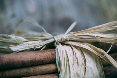 Close-up of cinnamon bundle