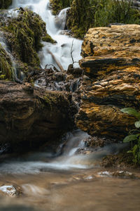 Small stream in the forest. slow shutter speed captures a silky cascade in a tranquil forest scene.