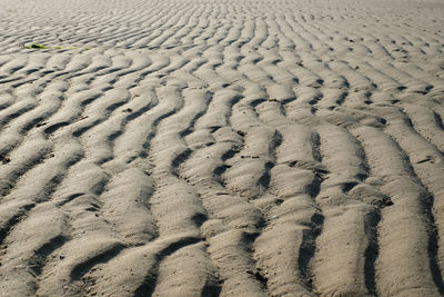 High angle view of tire tracks on sand