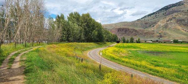 Scenic view of road amidst trees on field against sky