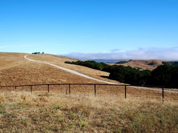 Scenic view of field against blue sky