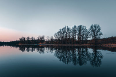 Reflection of trees in lake against sky