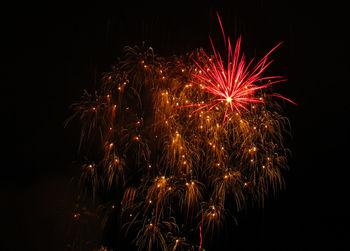 Low angle view of firework display