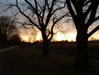 Bare trees on landscape at sunset