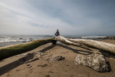 Rear view of man on beach against sky