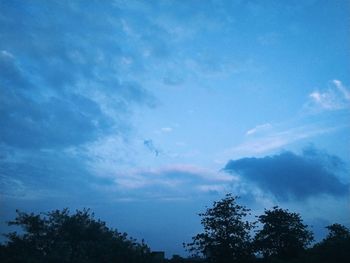 Low angle view of trees against blue sky