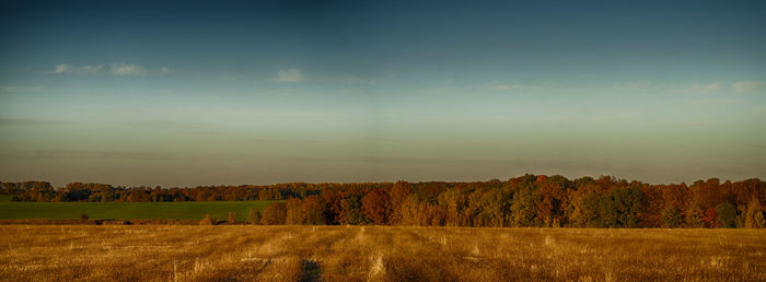 Scenic view of field against sky