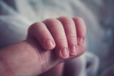 Cropped hands of parent and baby