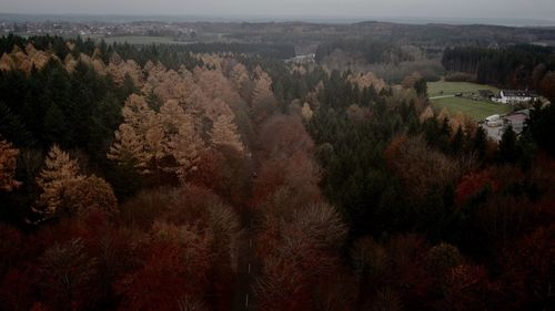 High angle view of trees on landscape against sky