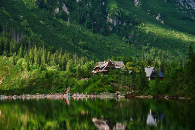 Cabin in mountains with green forest near lake