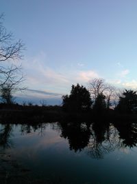 Reflection of trees in calm lake