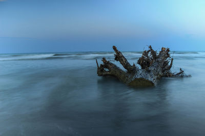 Driftwood on rock in sea against sky