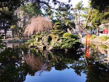 Reflection of trees in water