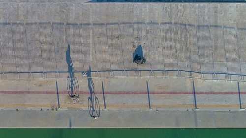 Birds perching on wall