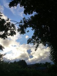 Low angle view of trees against cloudy sky