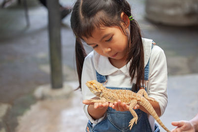 Close-up of girl holding lizard