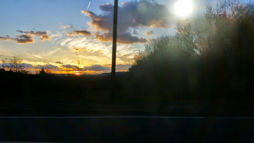 Sun shining through trees