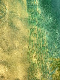 Full frame shot of water