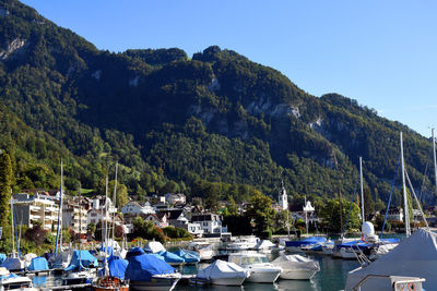 Boats moored at harbor against clear blue sky