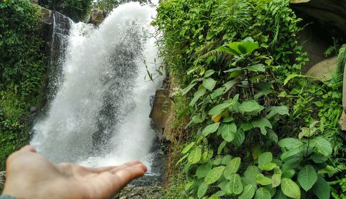 Optical illusion of hand holding waterfall in forest