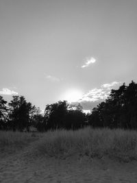 Trees on field against sky