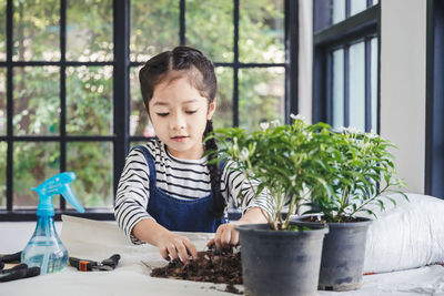 Boy looking at potted plant on table