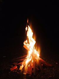 Bonfire at night