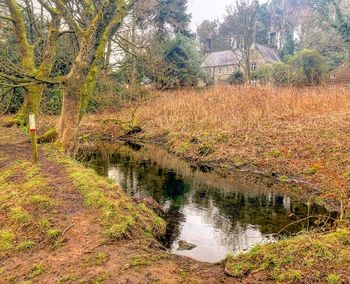 Scenic view of river amidst trees during autumn
