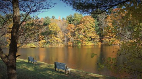 Scenic view of lake in forest during autumn