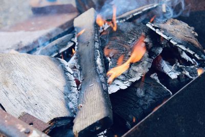 High angle view of bonfire on wooden log