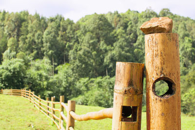 Close-up of wooden post on field
