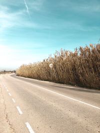 Road by trees against sky